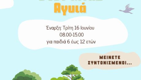 ΜΥΗΣ SUMMER CAMP 2026